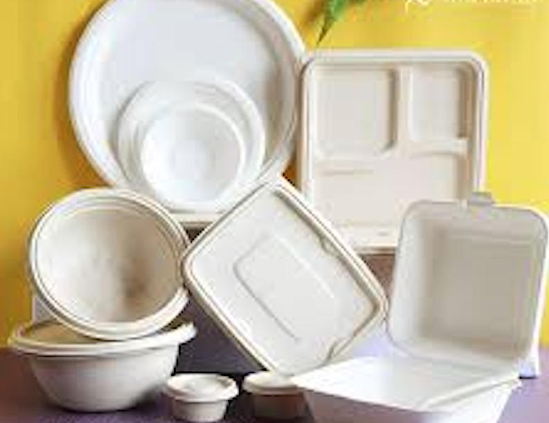 Disposable Food Containers